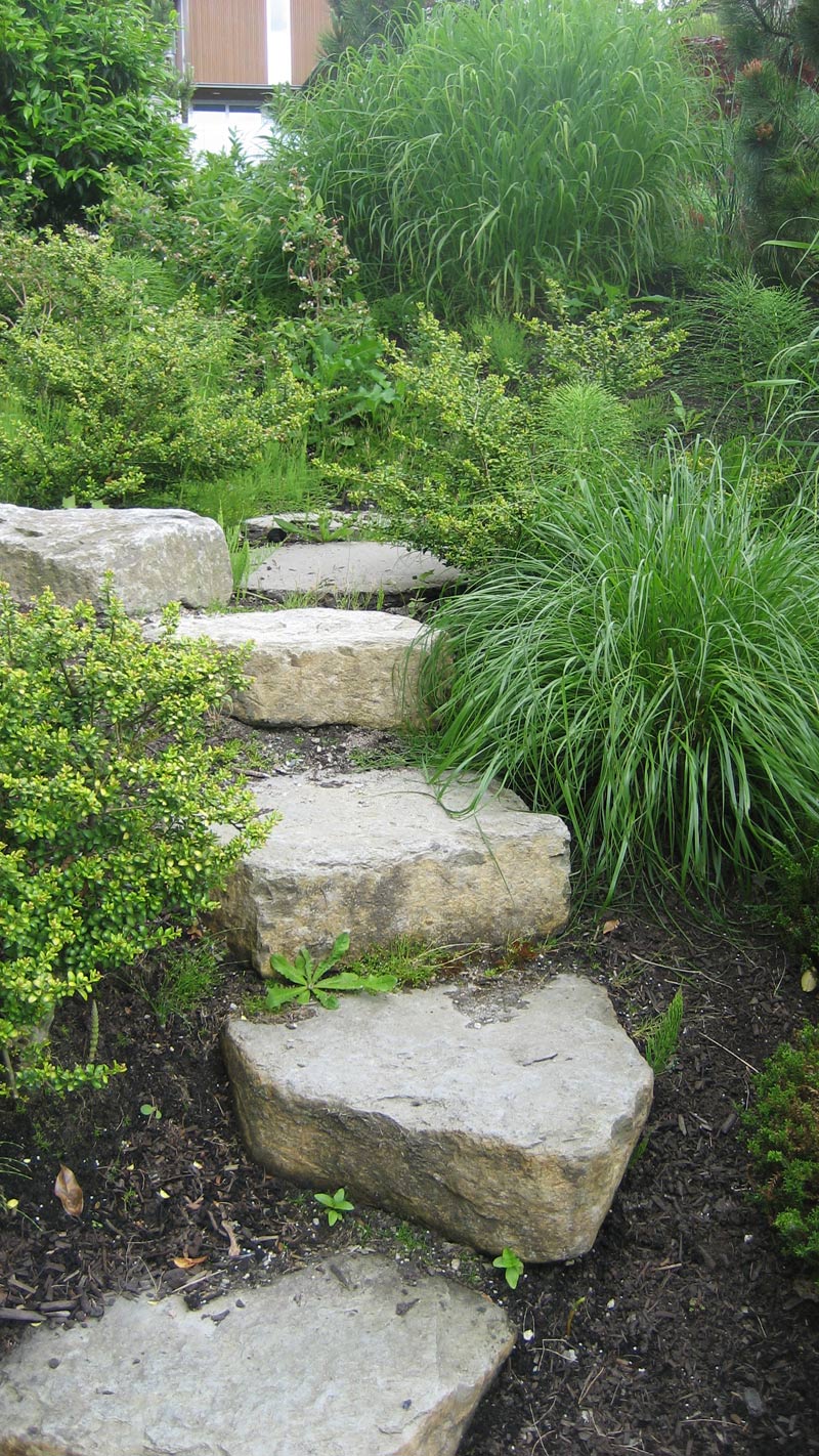 landscape-stone-steps-and-grasses
