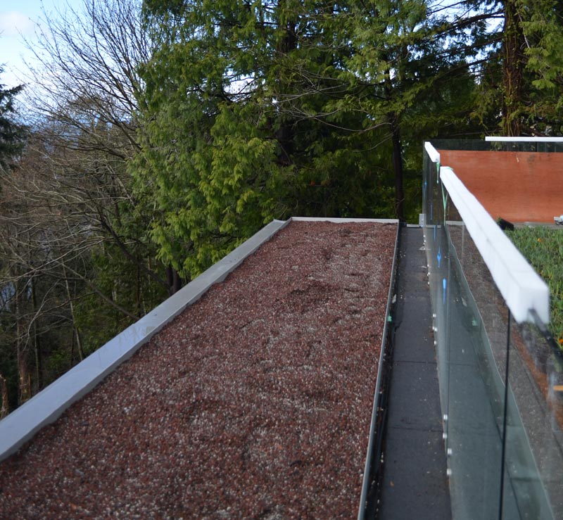 GREEN-ROOF-PREPPED-UP-FOR-PLANTING-3